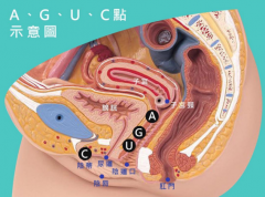正确了解自己的秘密—女区Luxine之MY-G