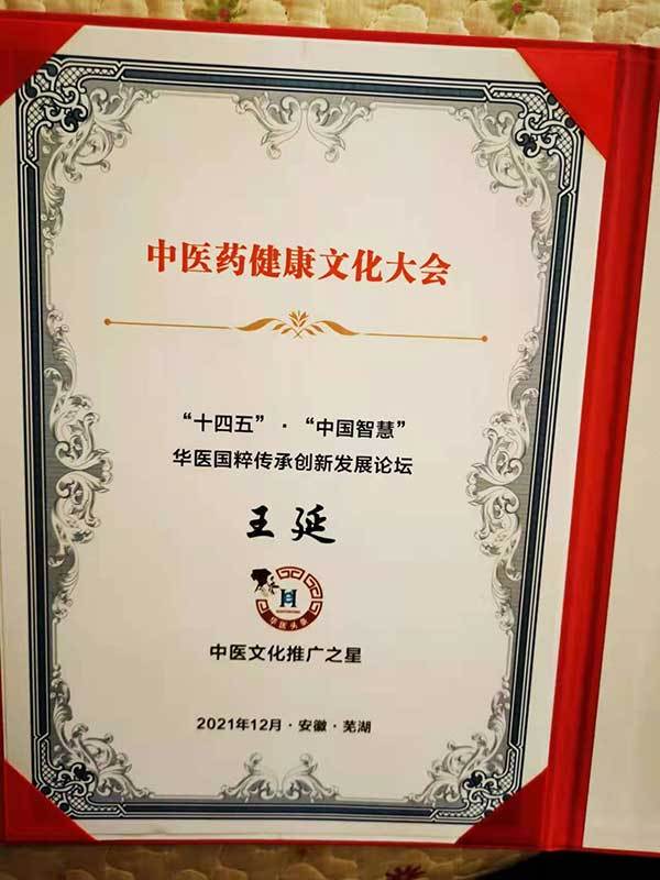 中国名人网 官方报道 最美名中医——王延