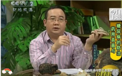  《药用真菌治疗肿瘤》