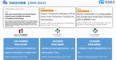  创新研发管理线经营模式——普瑞基准
