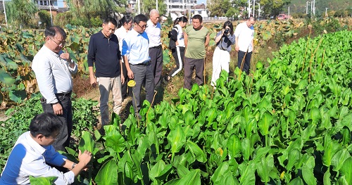 汇仁药业：让千年瑰宝焕发时代光彩，推动中医药产业做大做强！