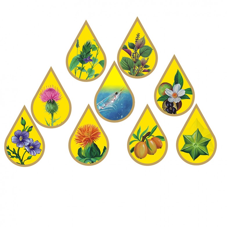 1762873005633273.jpg 九种油800a.jpg