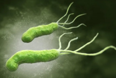 佛山肛泰肛肠医院：幽门螺杆菌，这个“胃”里常客，你了解多少？