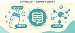 乳铁蛋白什么牌子的效果好？2026年从配方、认证到真实产品信息的选购参考	